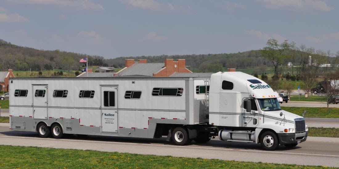 Sallee Horse Vans Horse Transport